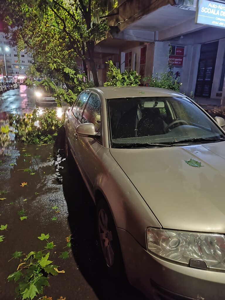  potop, iasi2