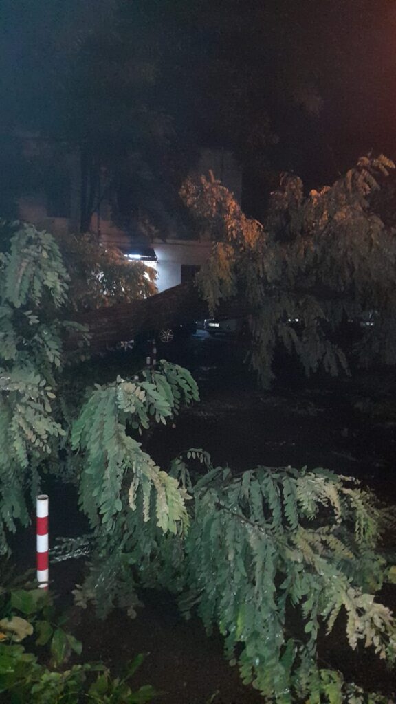  potop, iasi7