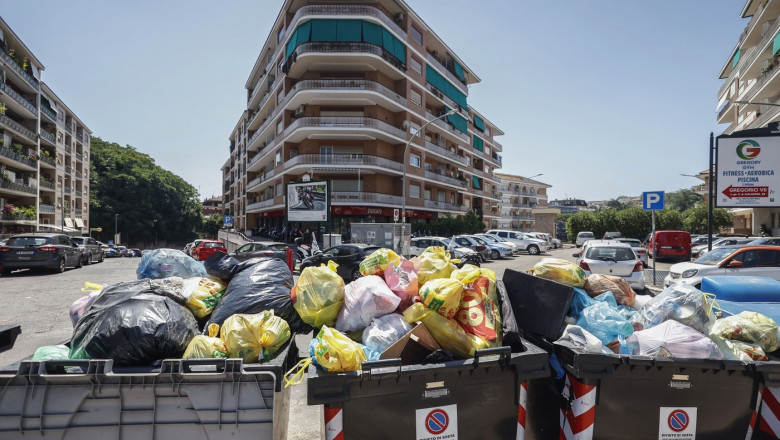 Roma este infestată de şobolani şi şerpi. Zoolog: „Este o adevărată junglă”