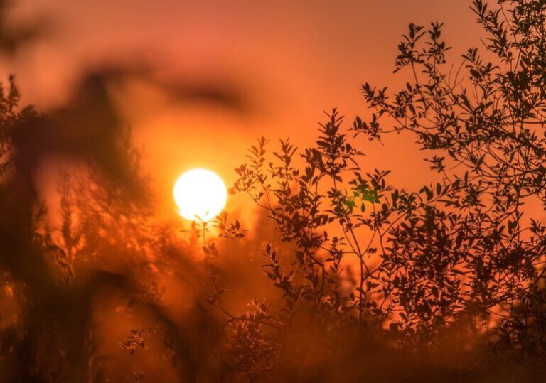 Meteorologii anunţă temperaturi peste cele obişnuite, până aproape de sfârşitul lunii septembrie