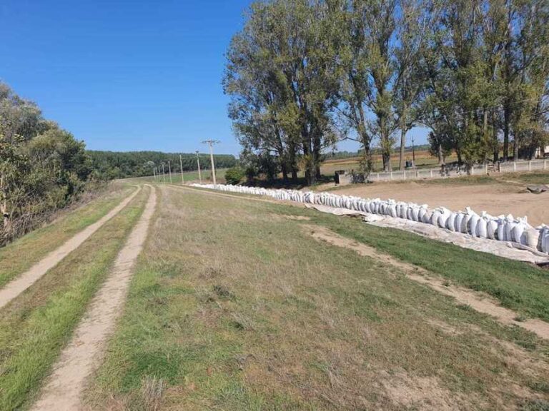 Autoritățile se pregătesc de furtună. Au ridicat diguri provizorii pentru a stopa apa în cazul unei breşe pe Dunăre