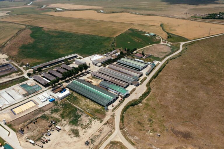 Panifcom vrea să construiască o stație de biogaz la Iași cu producere de energie electrică