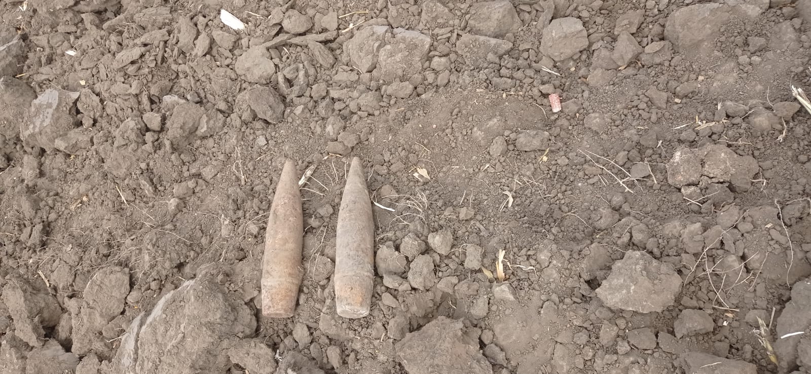 Misiune de asanare a pompierilor militari în localitatea Dorobanț
