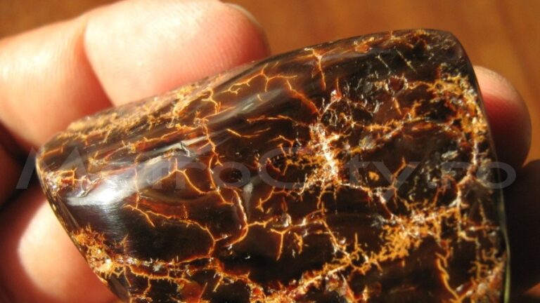 O bătrână din România a folosit o bucată de chihlimbar de un milion de euro ca opritor de ușă, timp de zeci de ani