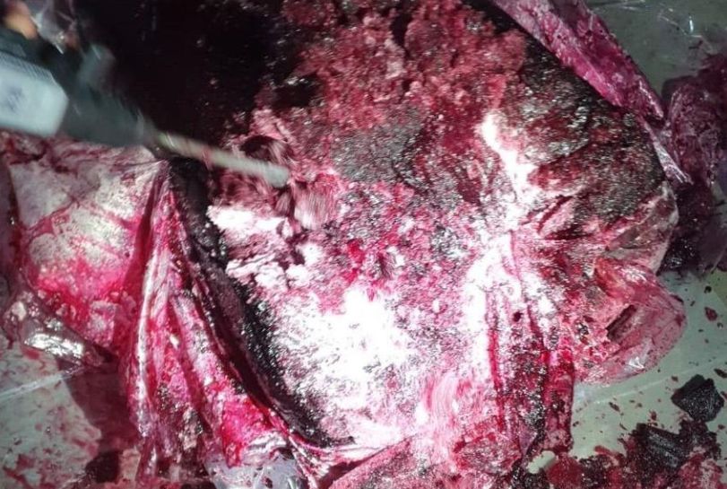  Cocaină găsită în 16 tone de pulpă de fructe congelată, în Portul Constanța – FOTO