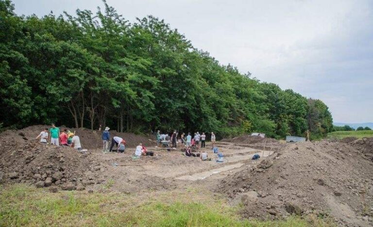 Descoperire uimitoare în Dobrovăț! Mormântul unui copil din Epoca Bronzului, dezgropat în colaborare cu arheologi chinezi!