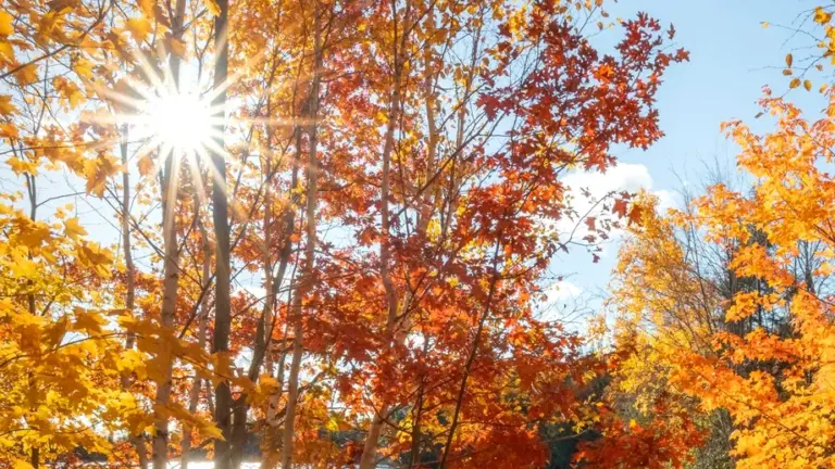 Cum va fi vremea în următoarele două săptămâni. Meteorologii au emis prognoza meteo până la jumătatea lunii octombrie