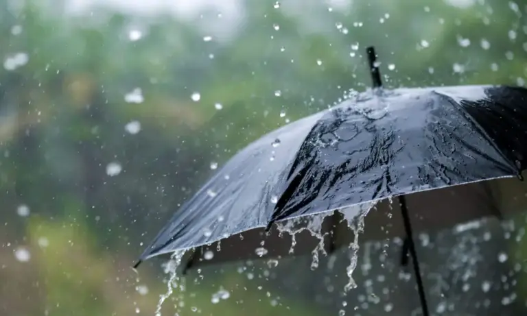 Vreme rece şi ploioasă toată săptămâna, în aproape toată ţara
