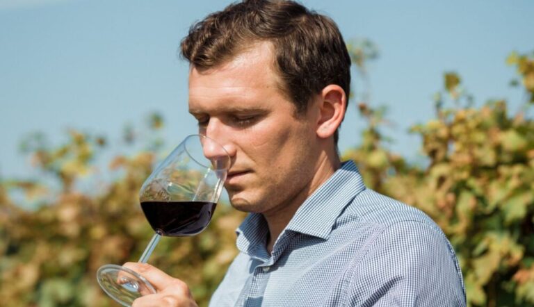 Cel mai scump vin produs la Iași costă 1.000 de euro sticla. Totul despre vinurile de legendă din județ. Care sunt anii cu vinuri bune de pus la învechit