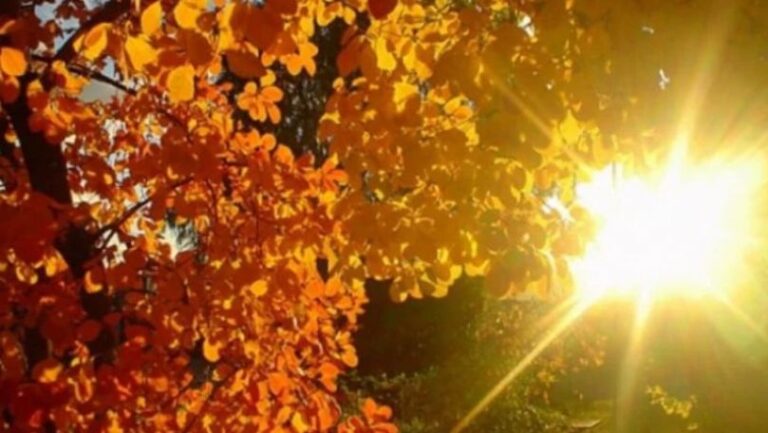 Cod galben de temperaturi sufocante în România. Vreme extremă în aproape jumătate din țară, inclusiv Iași. Cum va fi vremea în septembrie