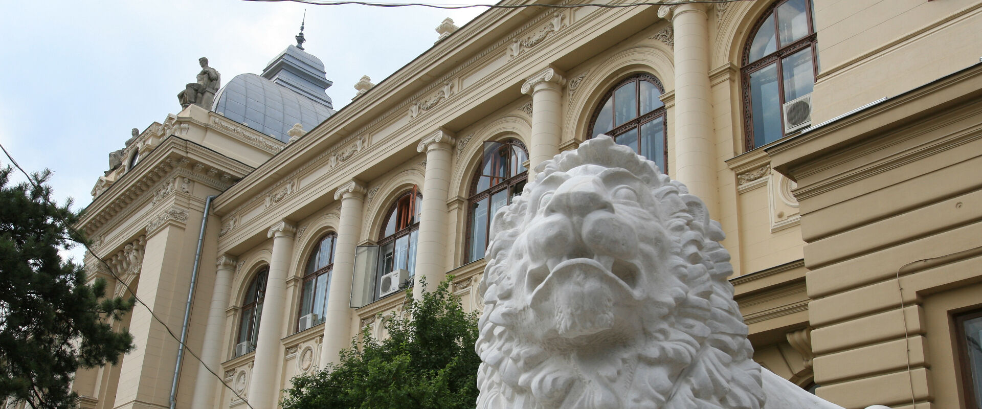 „L-a salvat prenumele”. Portretul celui mai bizar profesor pe care l-a avut Universitatea