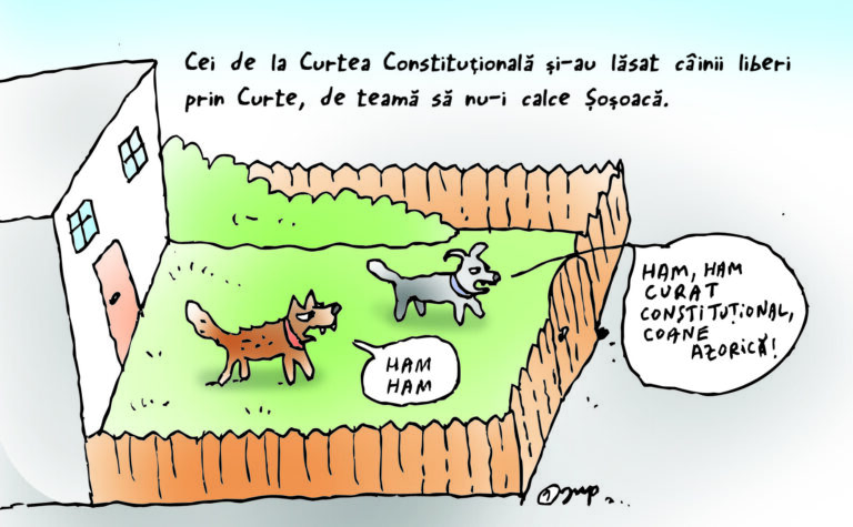 Câinii din Curtea Constituțională