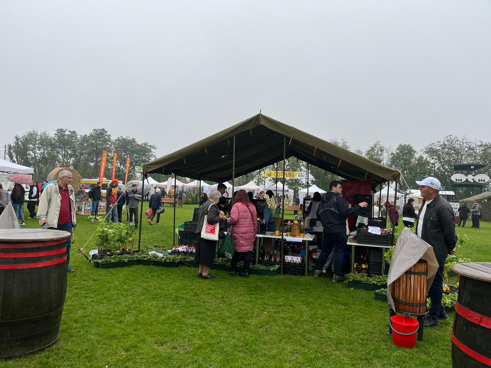 Zilele Recoltei încep astăzi la Iași: 90 de producători din regiunea Moldovei pun pe masă tot ce au mai bun