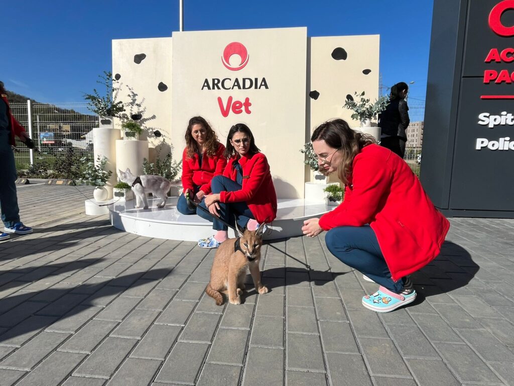 O zi dedicată animăluțelor de companie, ieri, la Arcadia Vet – GALERIE FOTO