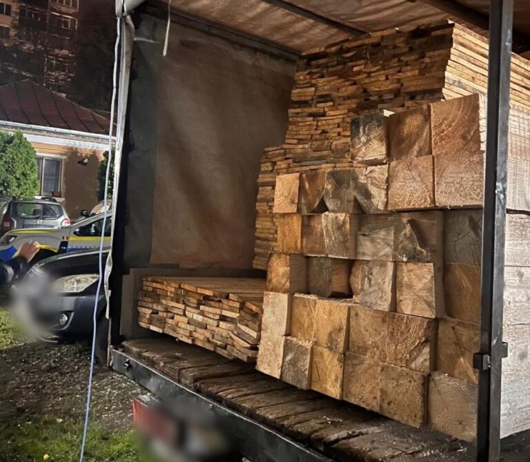 Ce au descoperit polițiștii ieșeni când au deschis ușile unui camion condus de un sucevean