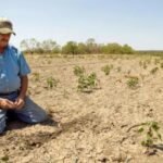 Fermierii afectați de secetă, ajutor de 2 miliarde de lei de la Guvern. Alte cheltuieli anunțate de Ciolacu