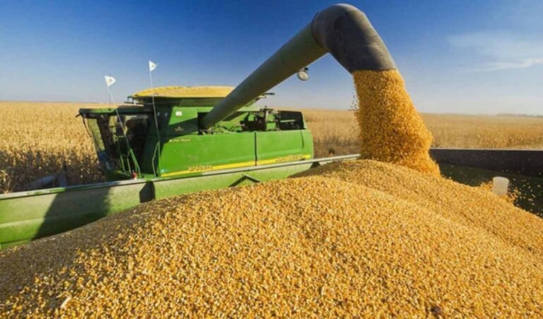 Valoarea producţiei agricole a ajuns la aproape 110 miliarde de lei, cu doar 0,6% mai mult față de anul anterior