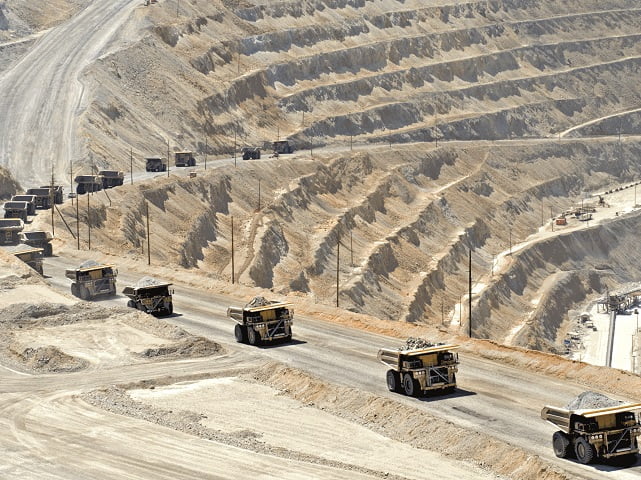 SUA autorizează o mină de litiu în habitatul unei flori unice în lume. Zăcământul este uriaș