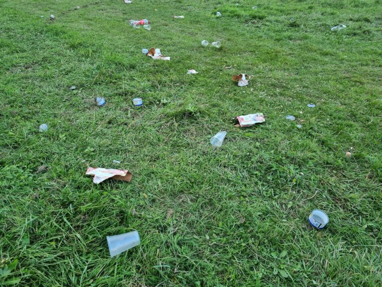 Mizeria lăsată în urmă la o petrecere de ATV-iști în Dobrovăț – „Data viitoare vă întâmpin cu poliția” (FOTO)