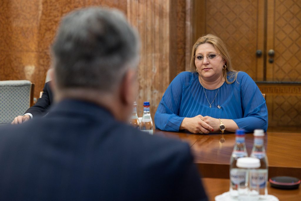 Diana Șoșoacă și-a Depus Din Nou Candidatura La BEC, După Ce A Fost ...