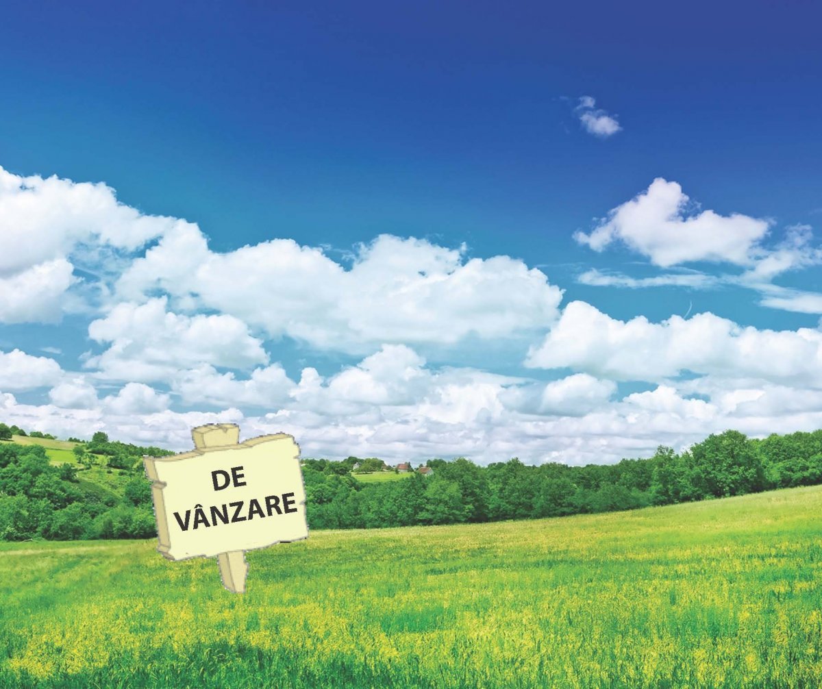 ANALIZĂ: Piaţa terenurilor agricole din România a înregistrat creşteri ale preţului unui hectar între 25 şi 40% în ultimul deceniu