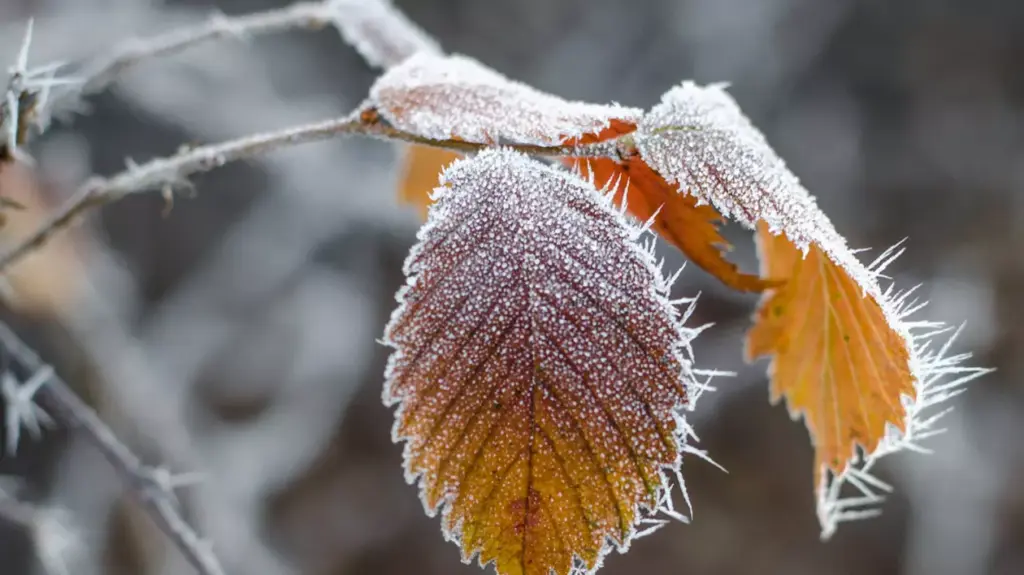  ANM – Urmează o săptămână cu temperaturi uşor mai coborâte decât cele specifice perioadei.