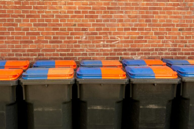 Ghid complet pentru alegerea coșurilor de gunoi: Tipuri și utilitate în spațiile moderne (P)
