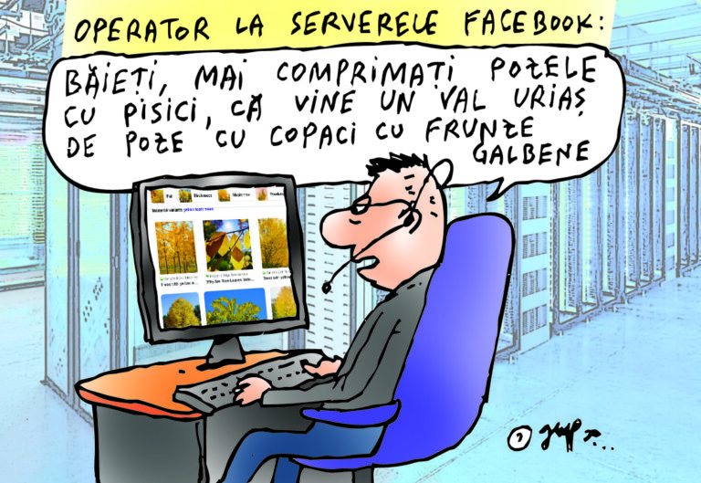 Val de poze cu frunze