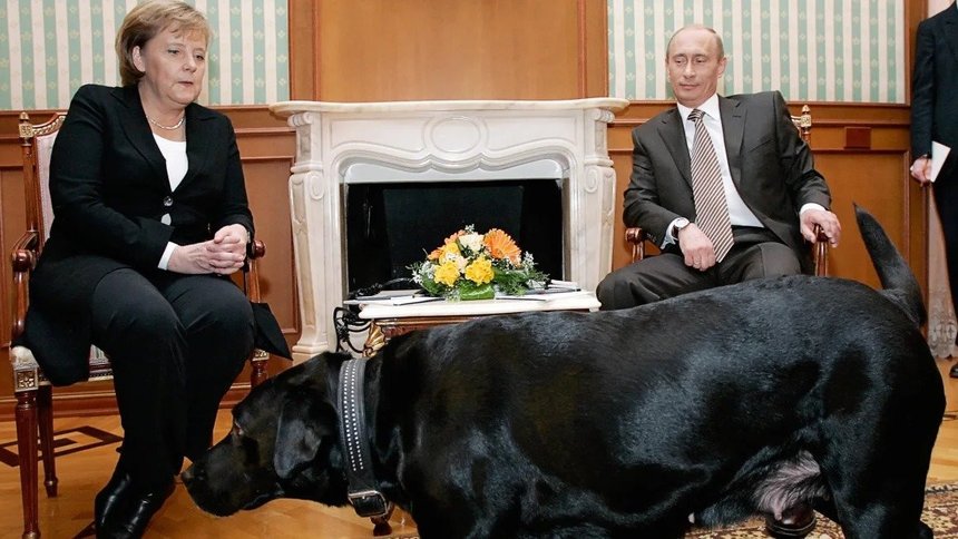  Vladimir Putin regretă că a speriat-o pe Merkel cu câinele său în 2007: „Angela, scuză-mă”