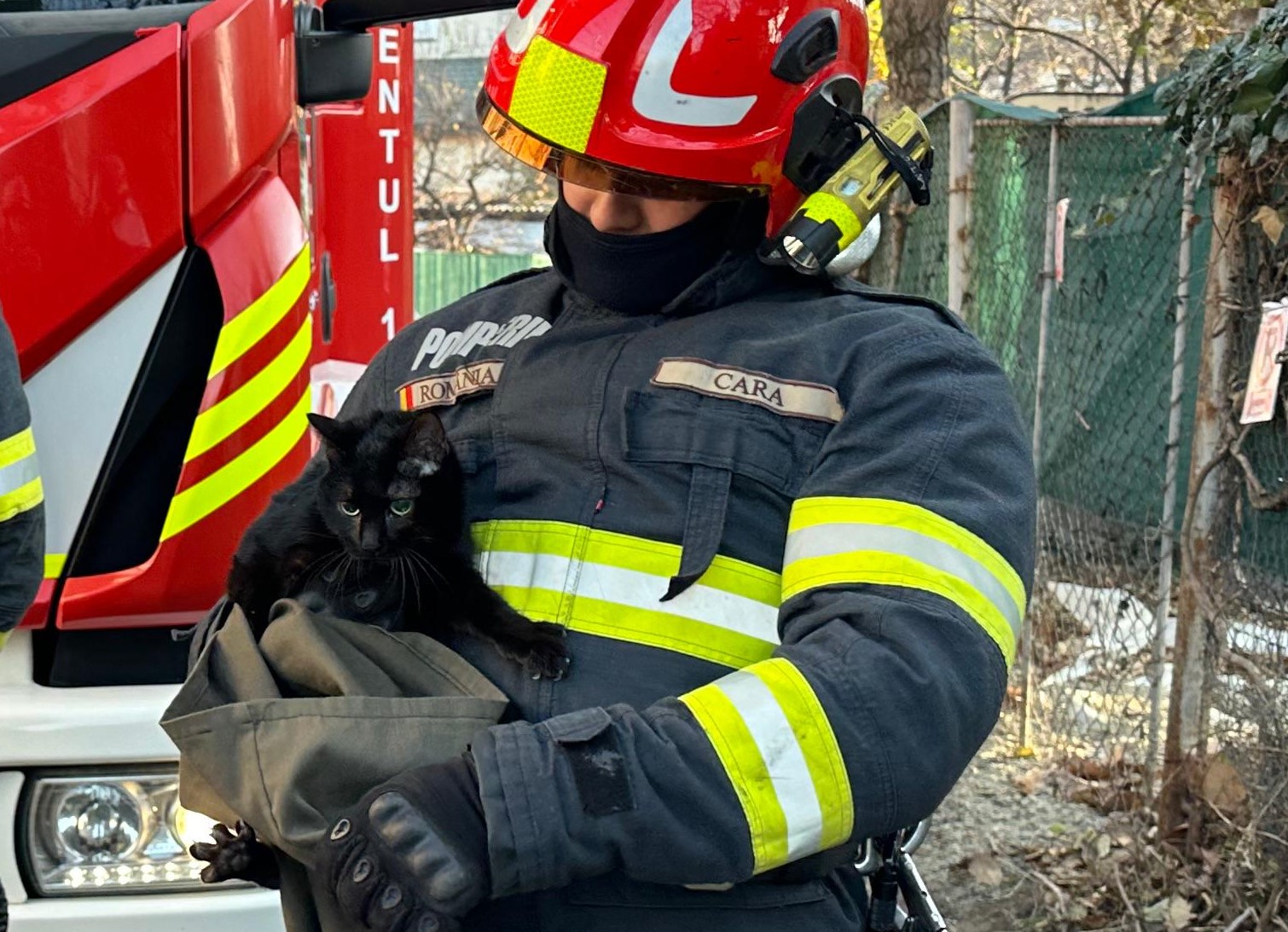 FOTO Pisică salvată în această dimineață după ce s-a urcat pe un stâlp de iluminat