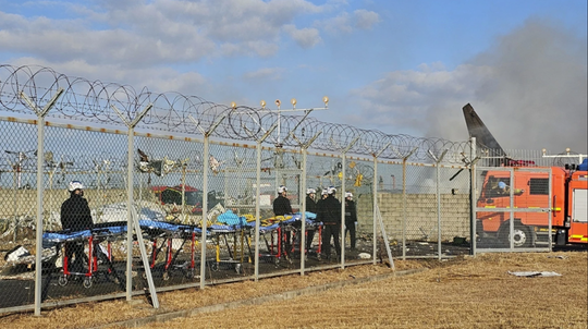 Experţii pun la îndoială teoria lovirii unui stol de păsări, în cazul avionului prăbușit în Coreea de Sud