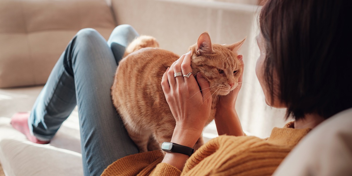 Sfaturi pentru proprietarii de animăluțe pentru noaptea dintre ani