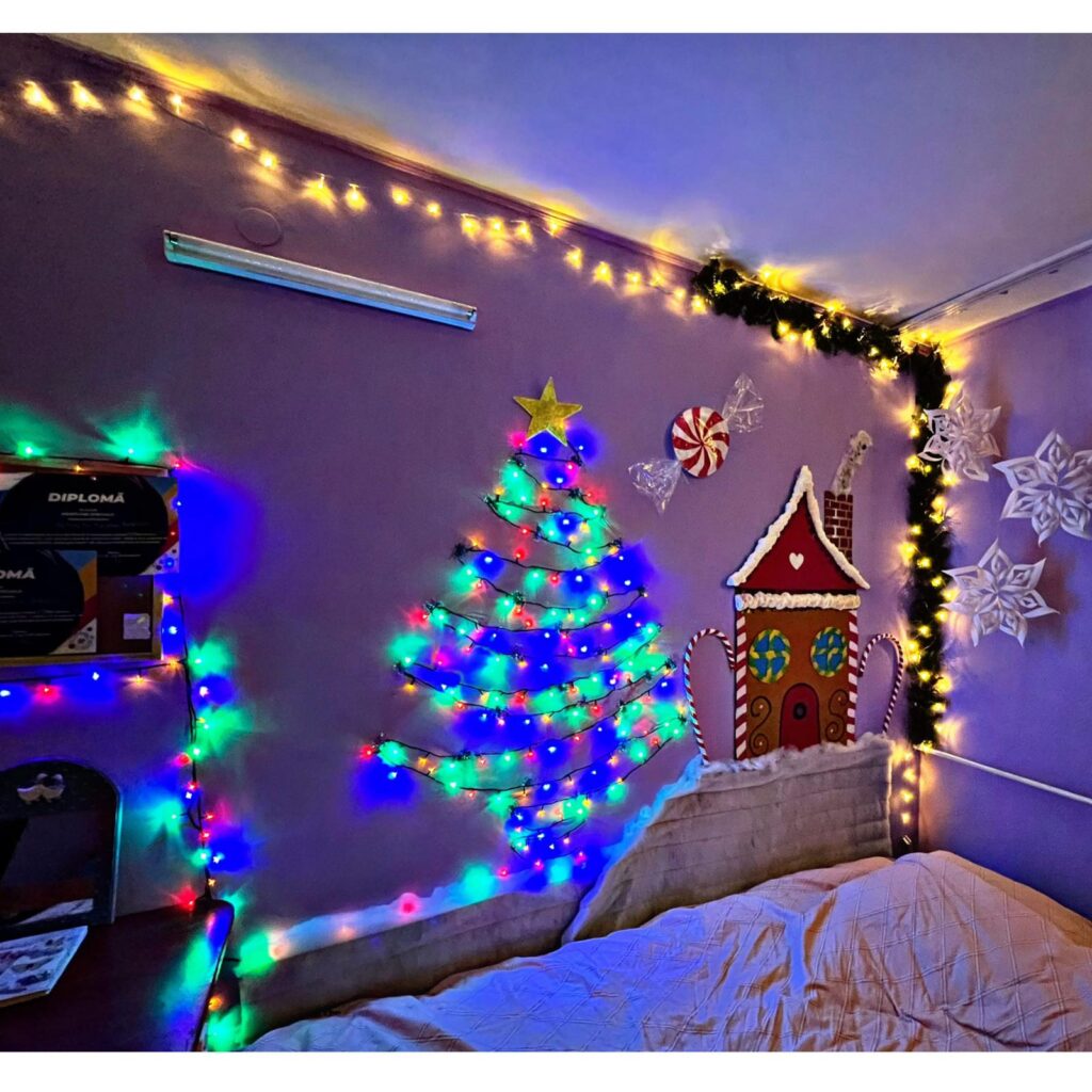  camera-camin-craciun3