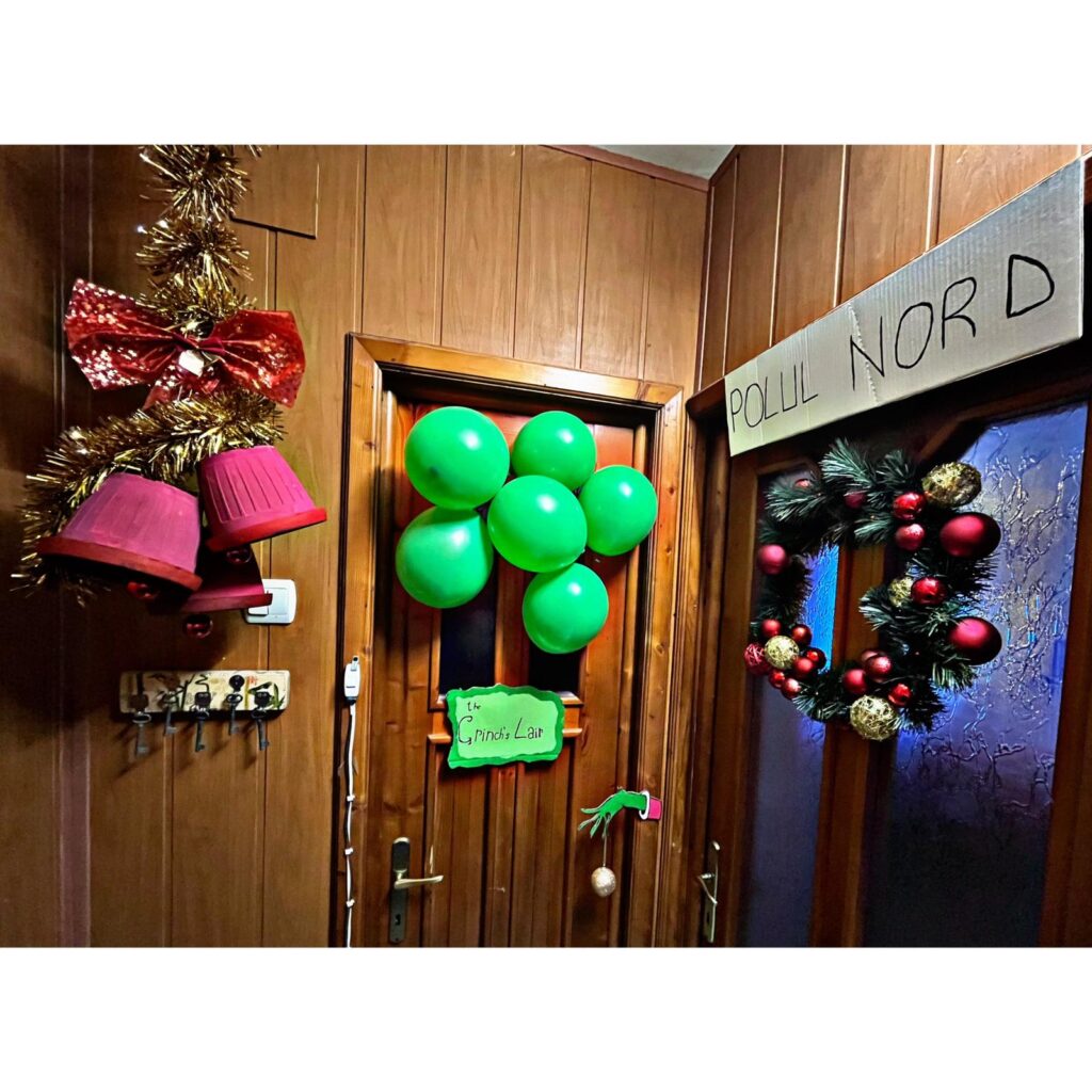  camera-camin-craciun4