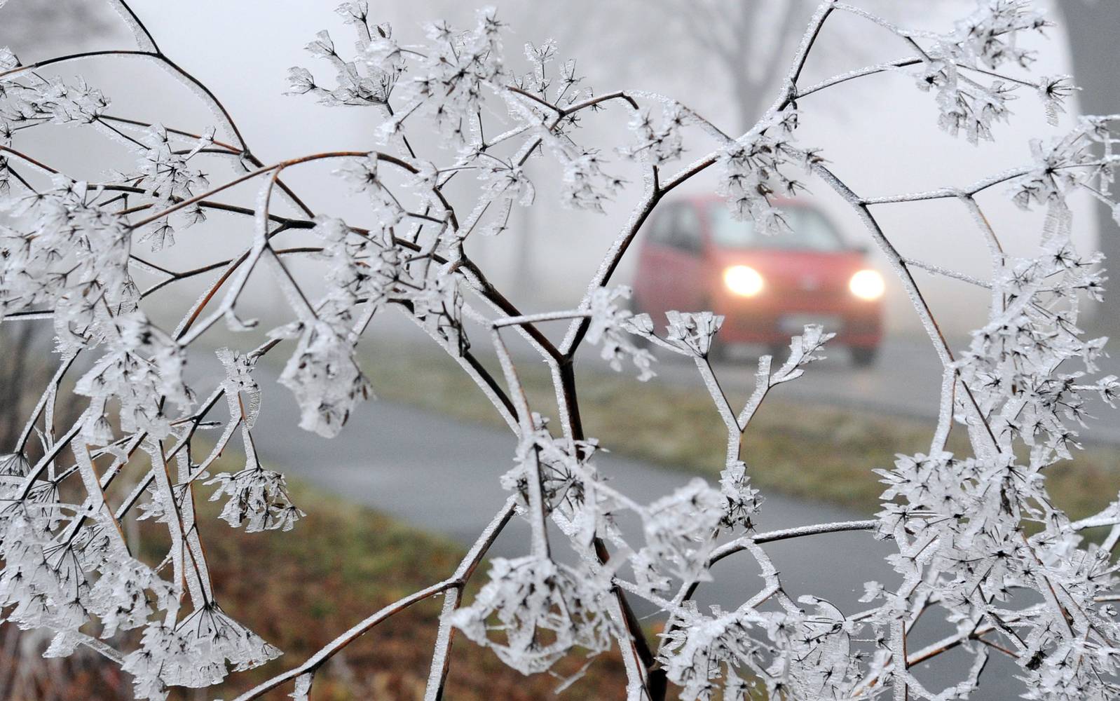 La Iași a fost azi-noapte cel mai frig din Moldova – Minus 12,3 grade