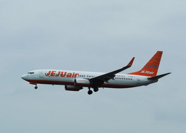 Modelul Boeing 737-800 care s-a prăbuşit în Coreea de Sud este unul dintre cele mai populare avioane din lume