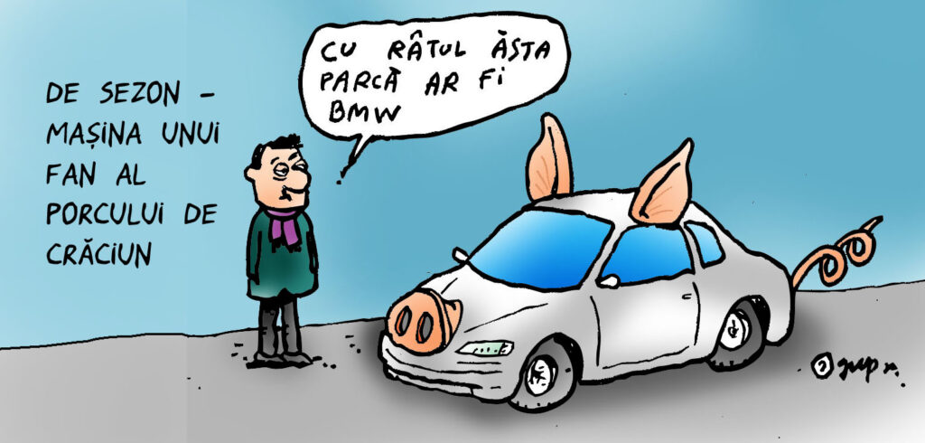  Fan porc Crăciun