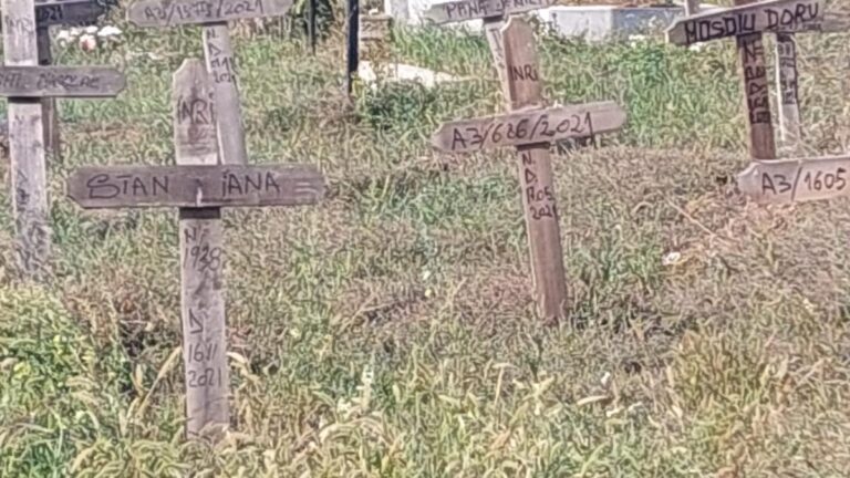 Ce este „compostul” uman și de ce aleg din ce în ce mai mulți oameni o „înmormântare verde”?