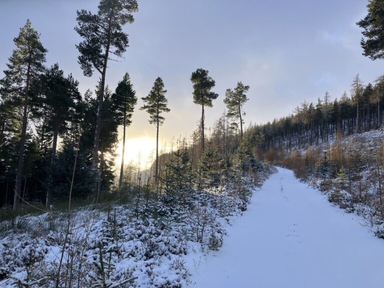 Temperaturi uşor mai ridicate decât cele obişnuite prognozate de meteorologi pentru luna ianuarie