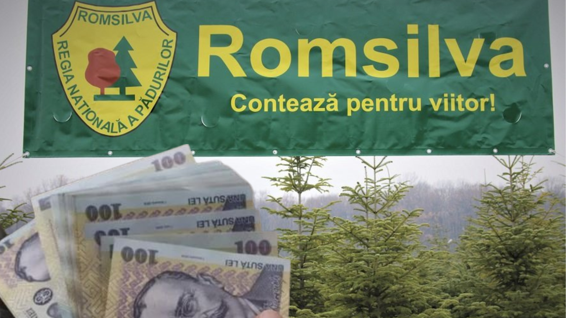 Defapt.ro: Suma „halucinantă” pe care o primește la pensionare un director Romsilva. Net