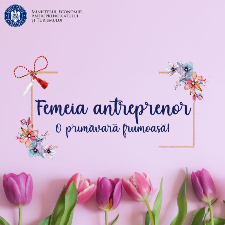 Femeile de afaceri cer deblocarea programelor pentru antreprenoare