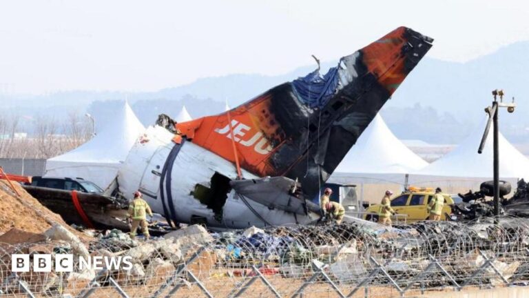 Coreea de Sud: ADN de raţă găsit în ambele motoare ale avionului Jeju Air care s-a prăbuşit luna trecută