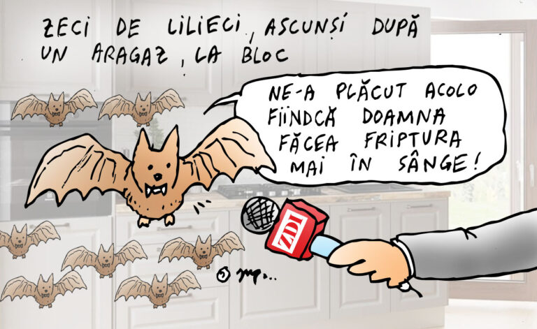 Liliecii de după aragaz
