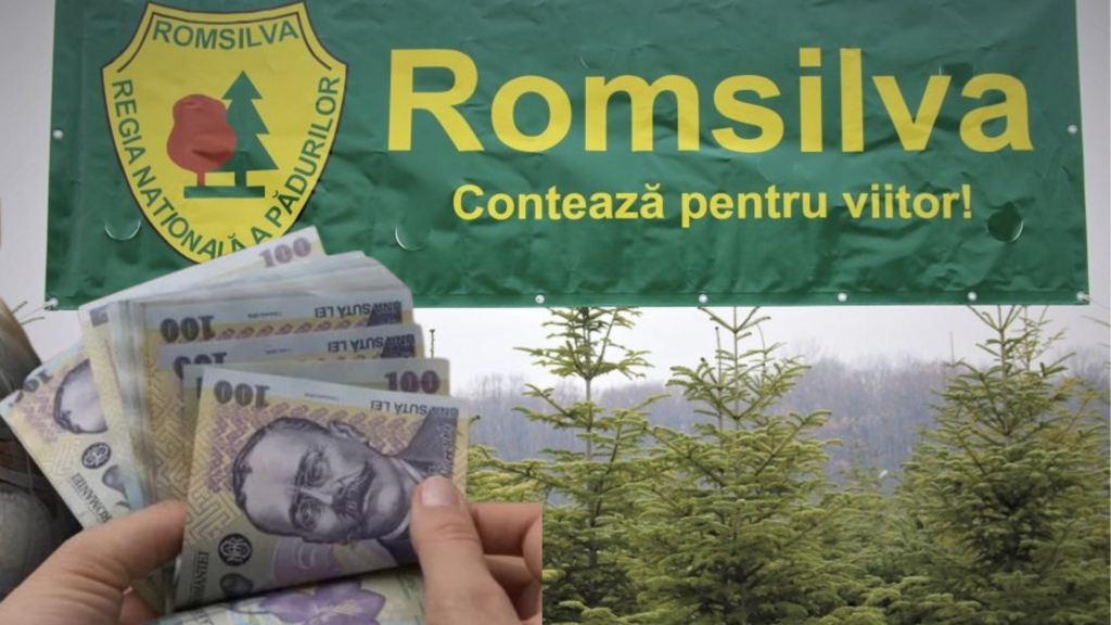  Diana Buzoianu acuză PSD că nu vrea reforma Romsilva și i s-a cerut să mintă la Bruxelles