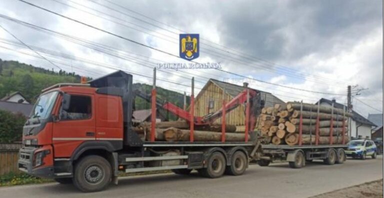 Modificarea Codului Silvic: Transporturile ilegale de lemn, lovite dur de noile sancțiuni