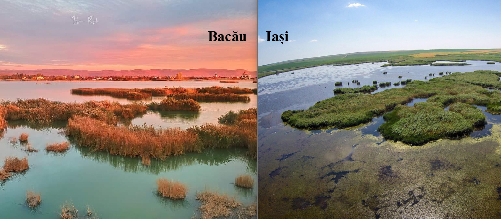  Băcăuanii, „atac” la Delta Moldovei de la Larga Jijia, Iași? „Delta Bacăului, cea mai frumoasă din Moldova”. Care vi se pare mai frumoasă?