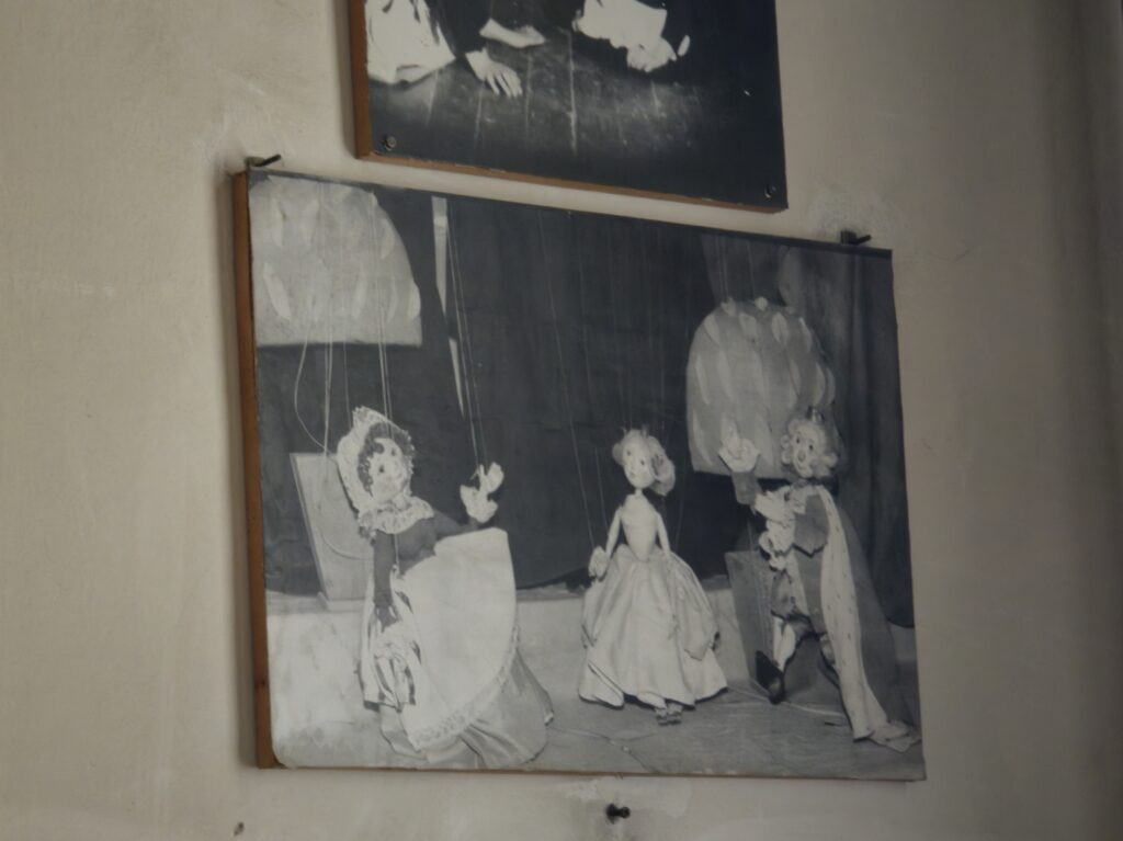  Liliana Mavriș-Vârlan (1)