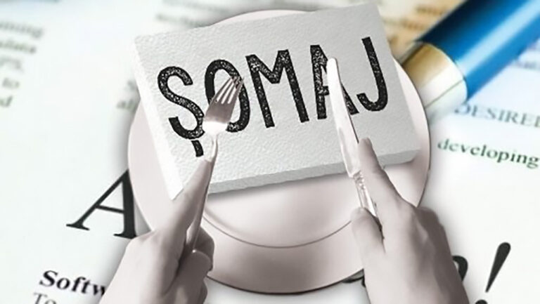 Top șomaj pe Iași - Comuna din județ unde un sfert dintre locuitorii apți de muncă sunt șomeri