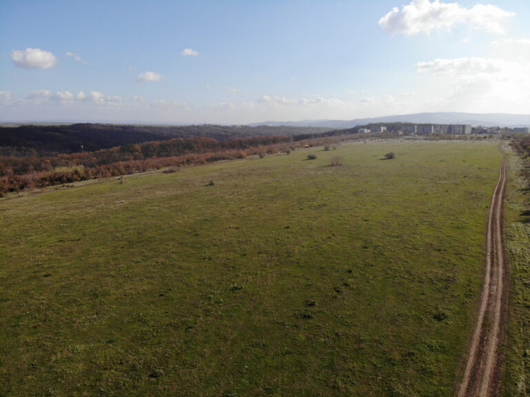 Interes major din partea firmelor pentru extinderea utilităților în zona Moara de Vânt