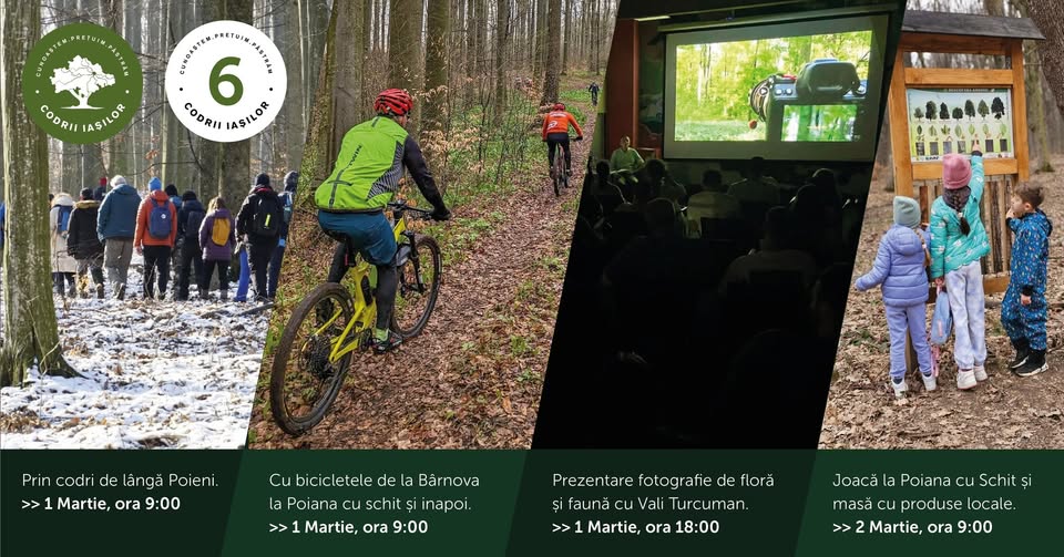 Două zile de drumeții prin Codrii Iașilor, în weekend. Pe 1 Martie comunitatea Codrii Iașilor sărbătorește 6 ani de când a luat ființă